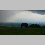 p1010249 [800x600].jpg